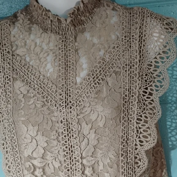 Cable & Gauge Beige Lace Sleeveless Blouse Size Small. - Picture 2 of 9